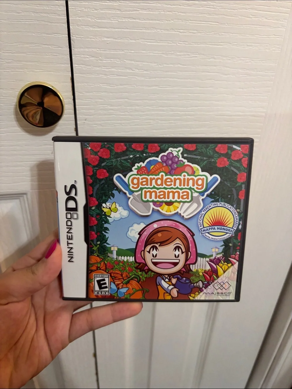 Nintendo DS Game Bundle